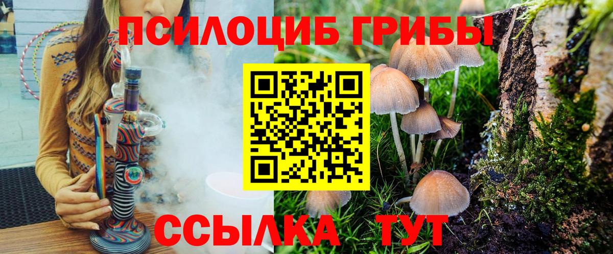Галлюциногенные грибы Psilocybe  Псилоцибиновые грибы GOLDEN TEACHER  Фрязино  Вход с VPN 